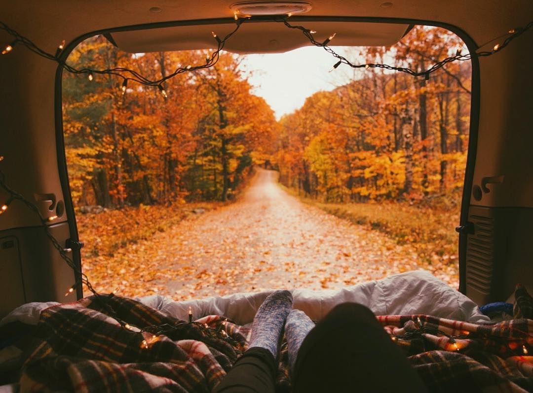 Cozy Afternoon In Autumn Wallpaper