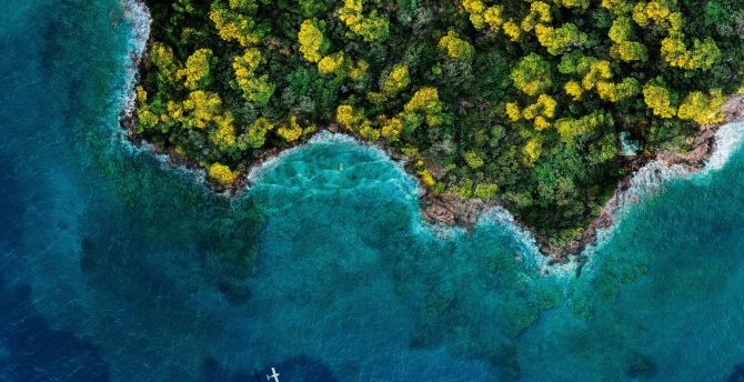 Island forest ocean aerial view wallpaper hd image picture