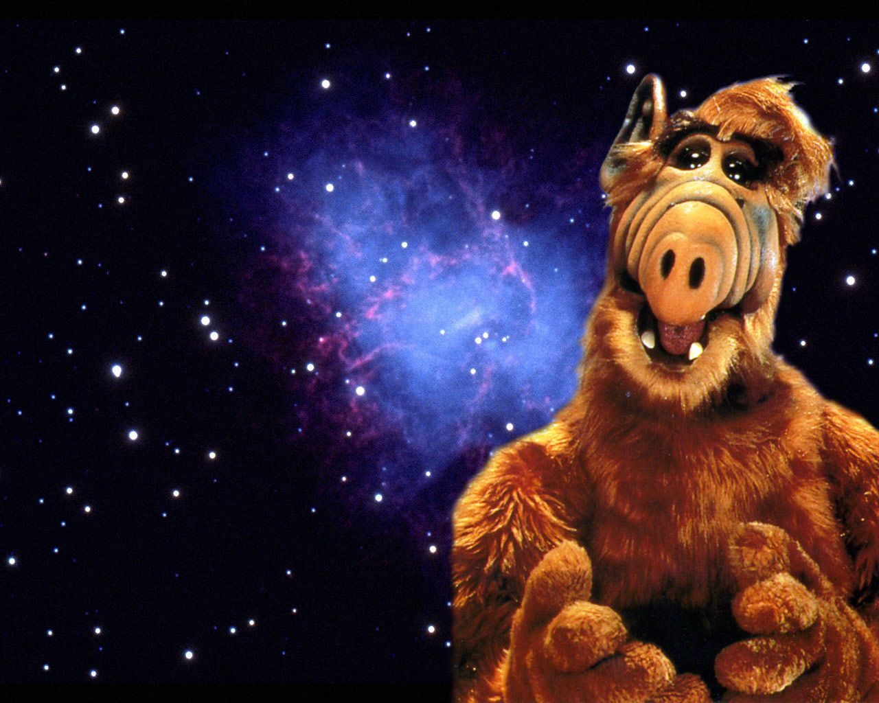 Alf Galaxie Photo Alien Life Form Tv