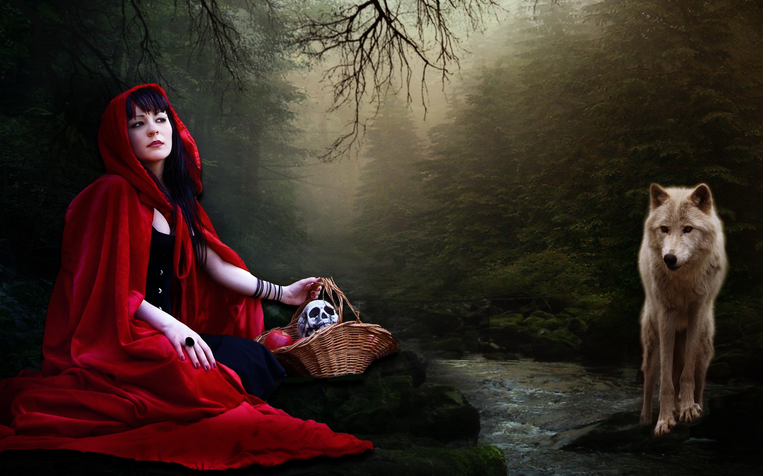 Nature Little Red Riding Hood And The Wolf Wallpaper