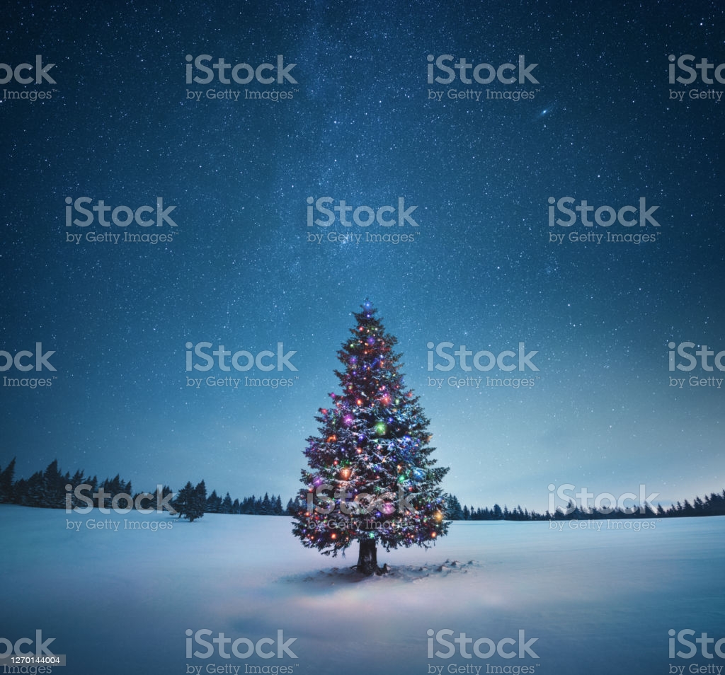 Christmas Tree Stock Photo Image Now Istock