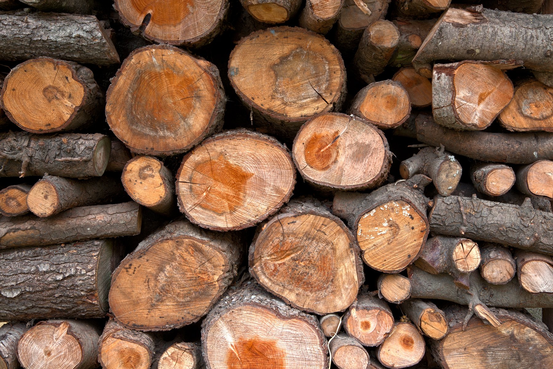  textures wood 2011 2015 somadjinn wood log texture captured in the 1800x1200
