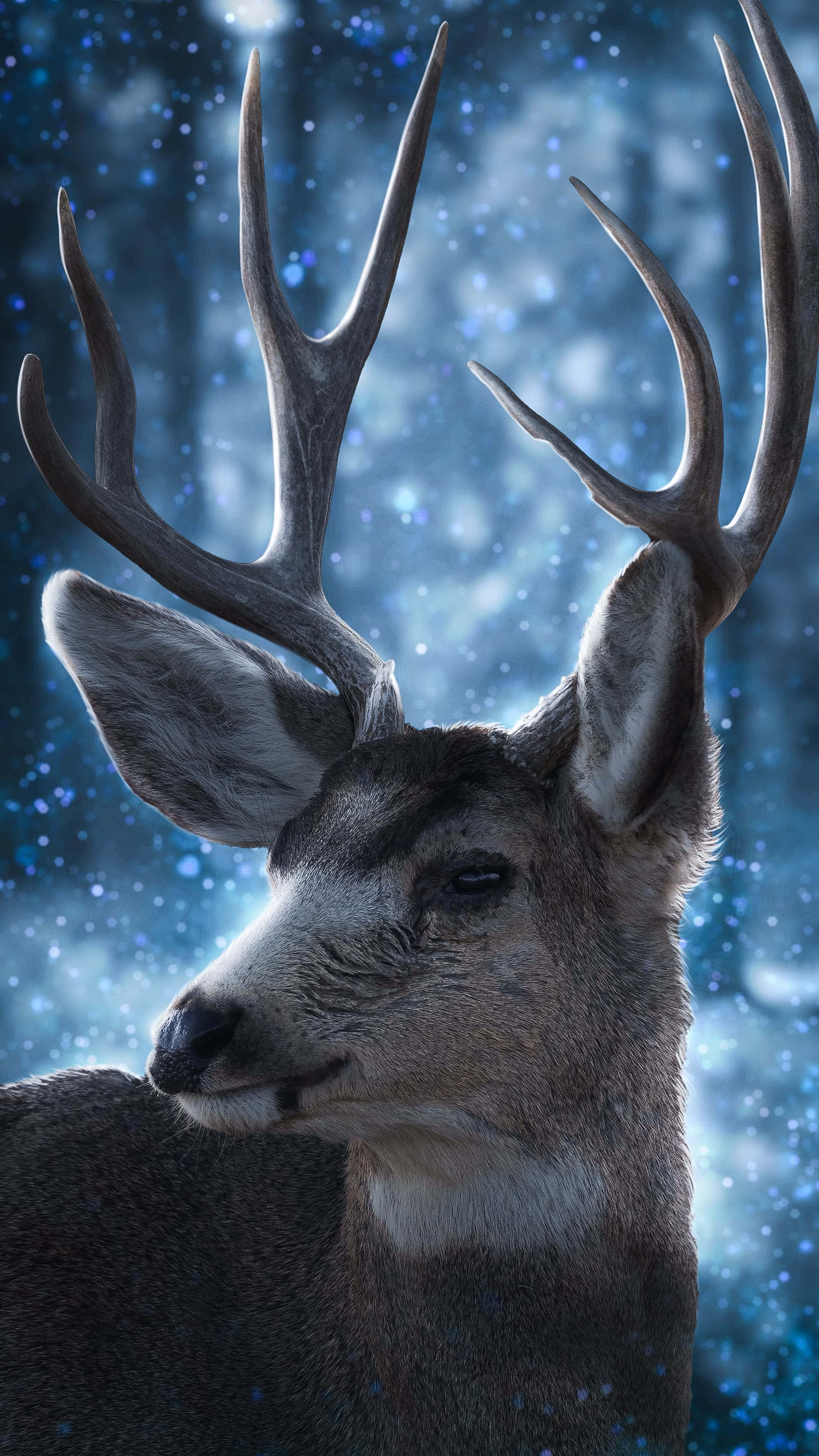 Deer Desktop Wallpaper