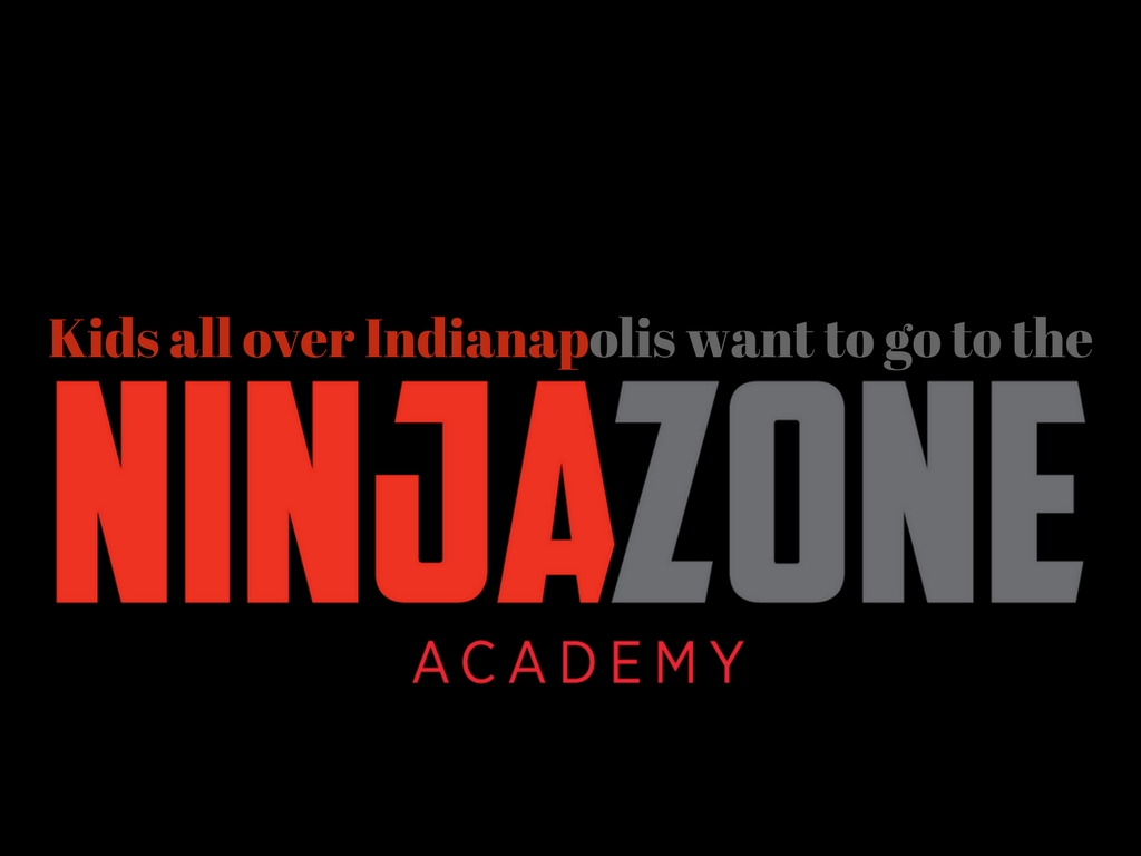 Ninjazone Academy In Geist And Westfield