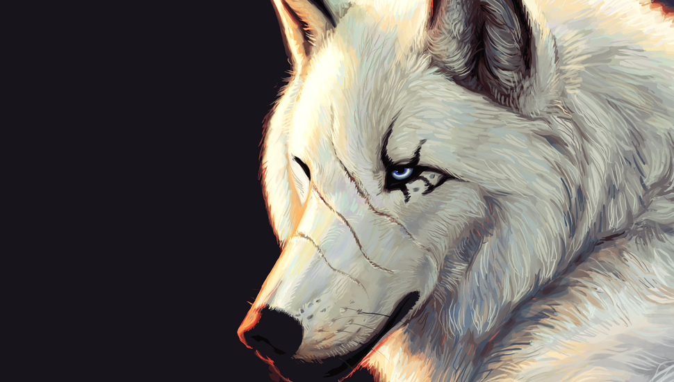 Blue Eyes White Scars Black Background Wolf Wallpaper And