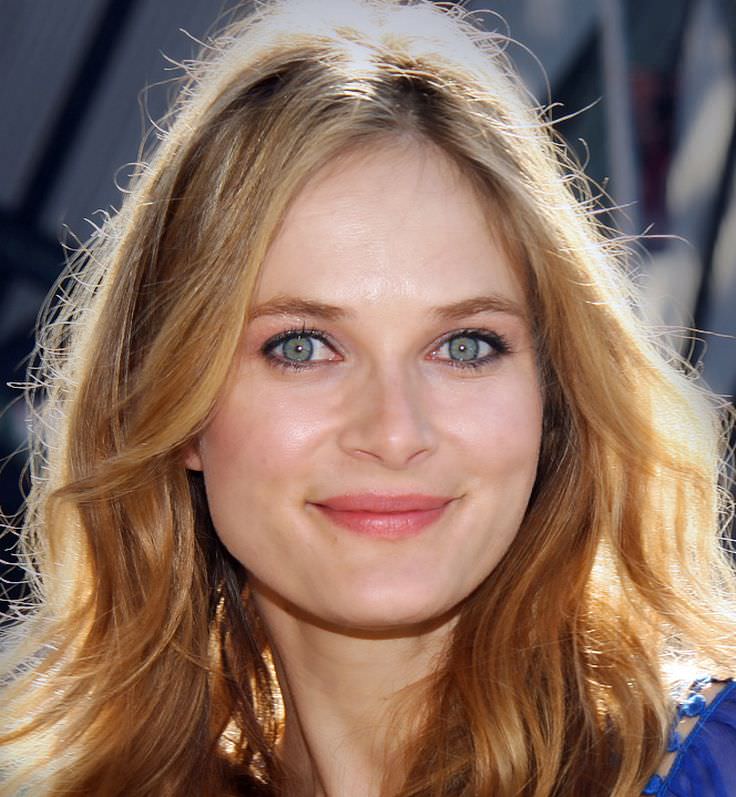 Rachel Blanchard Wallpaper
