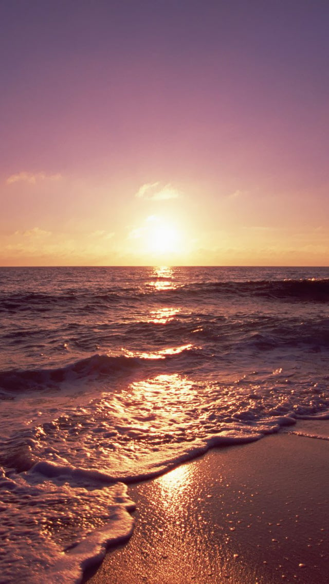 Free Download Download Ocean Beach Sunset Hd Iphone 5 Wallpapers