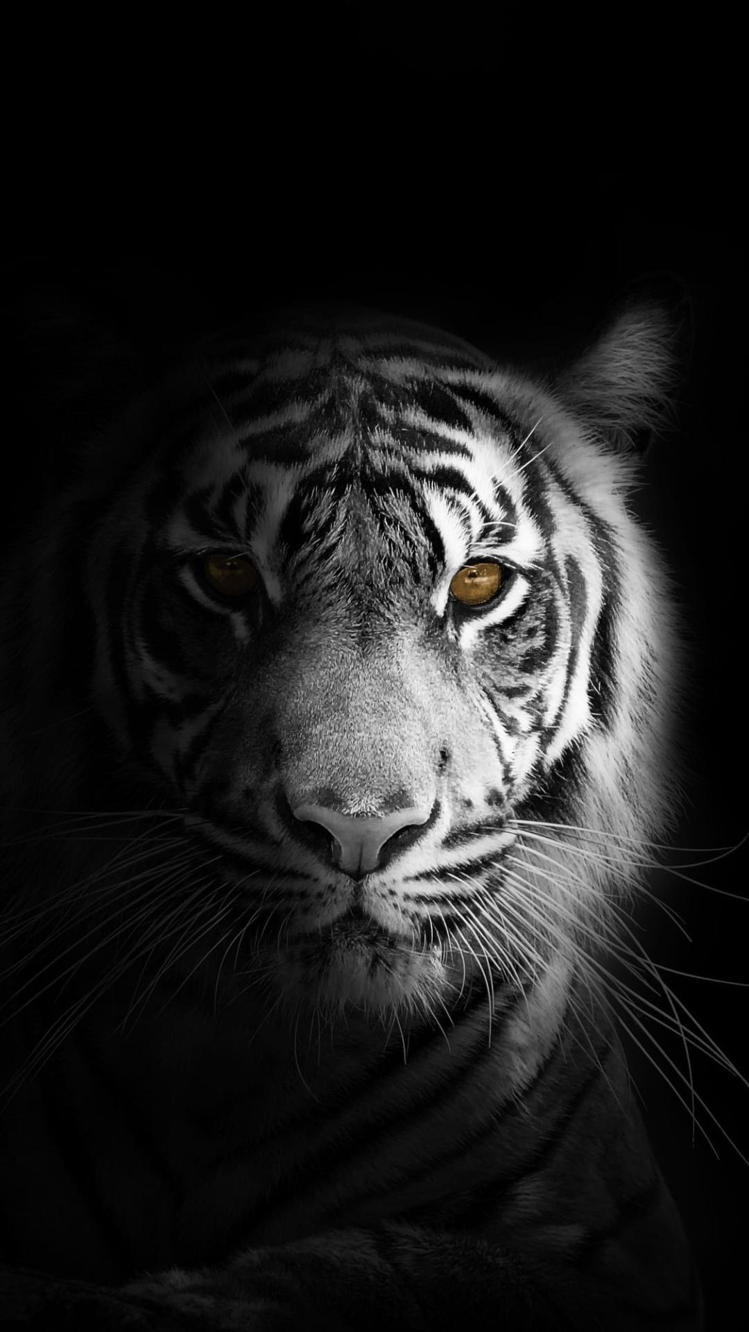 Top Best Black And White iPhone Wallpaper Hq