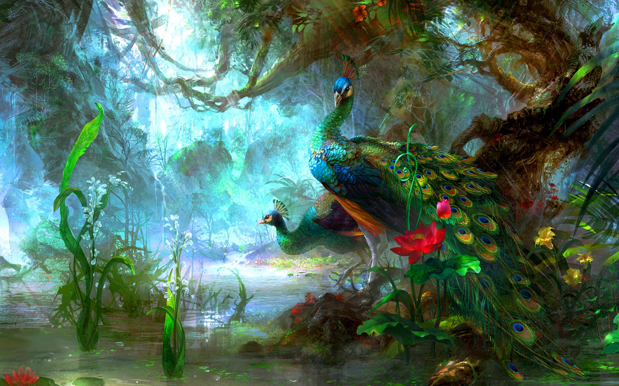 Beautiful Peacock Colorful Wallpaper High Quality