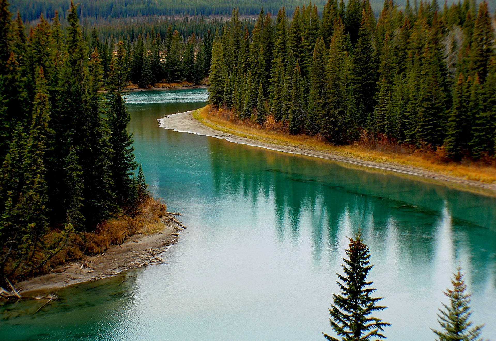 Tranquil Greens Wallpaper