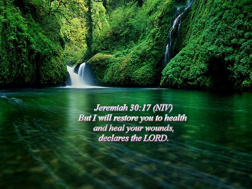 Heal me Lord and I will be healed save me and I will be saved for you  are the one I praise  Jeremiah 1714  Instagram