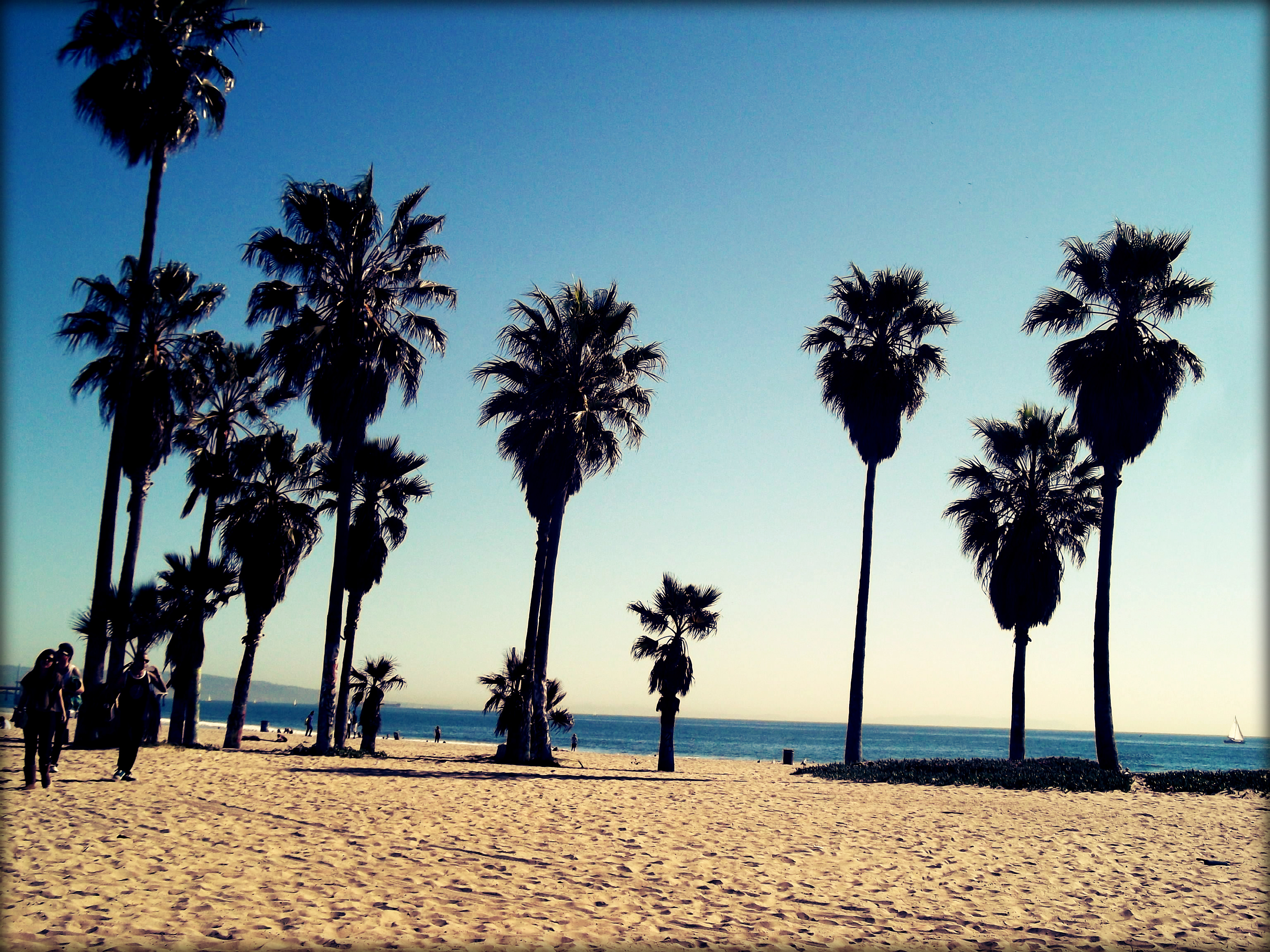 Wallpaper Venice Fl On