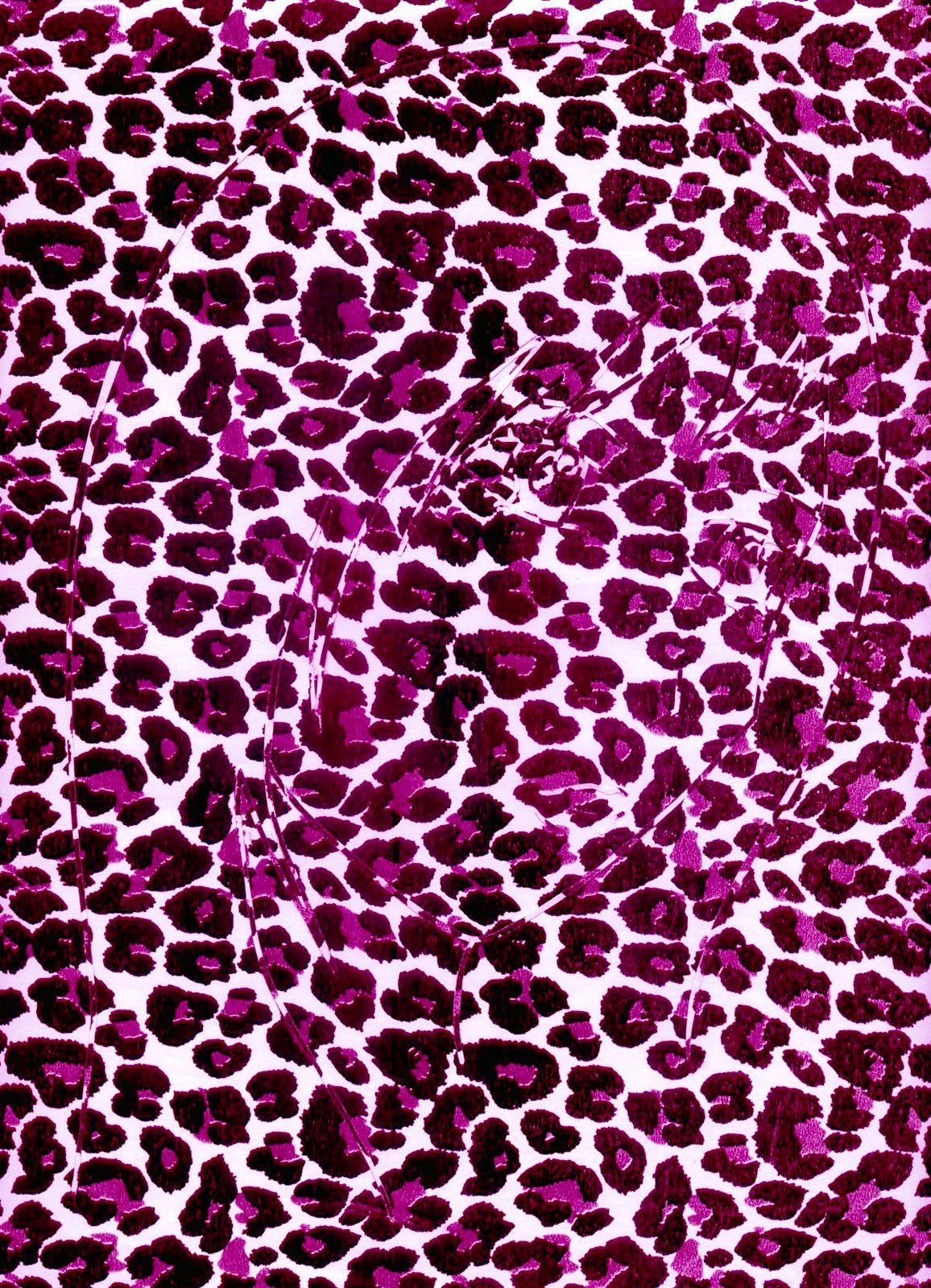 Leopard Print Pink And Black