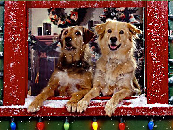 This is a great free animated Christmas wallpaper featuring two cute