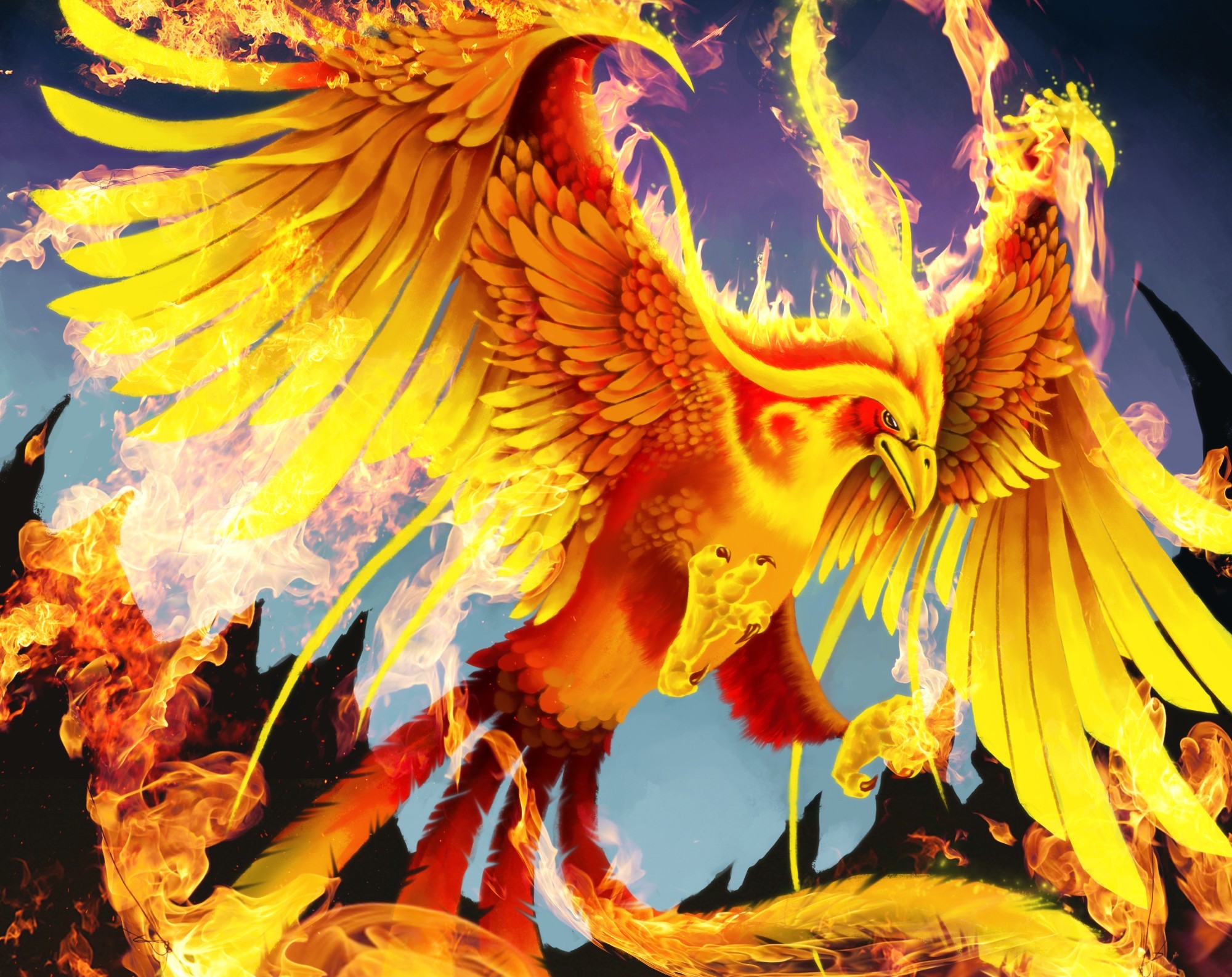 Wallpaper art phoenix bird fire wings tail wallpapers fantasy