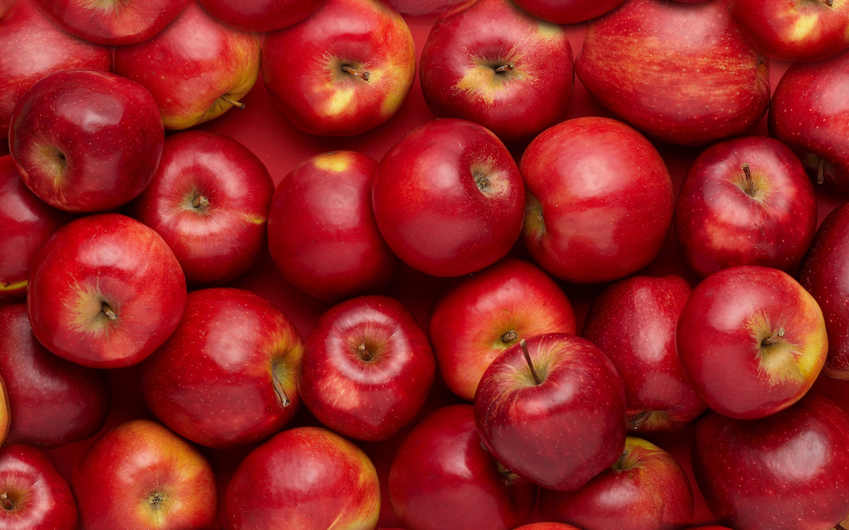 Red Apple Fruit Wallpaper Food