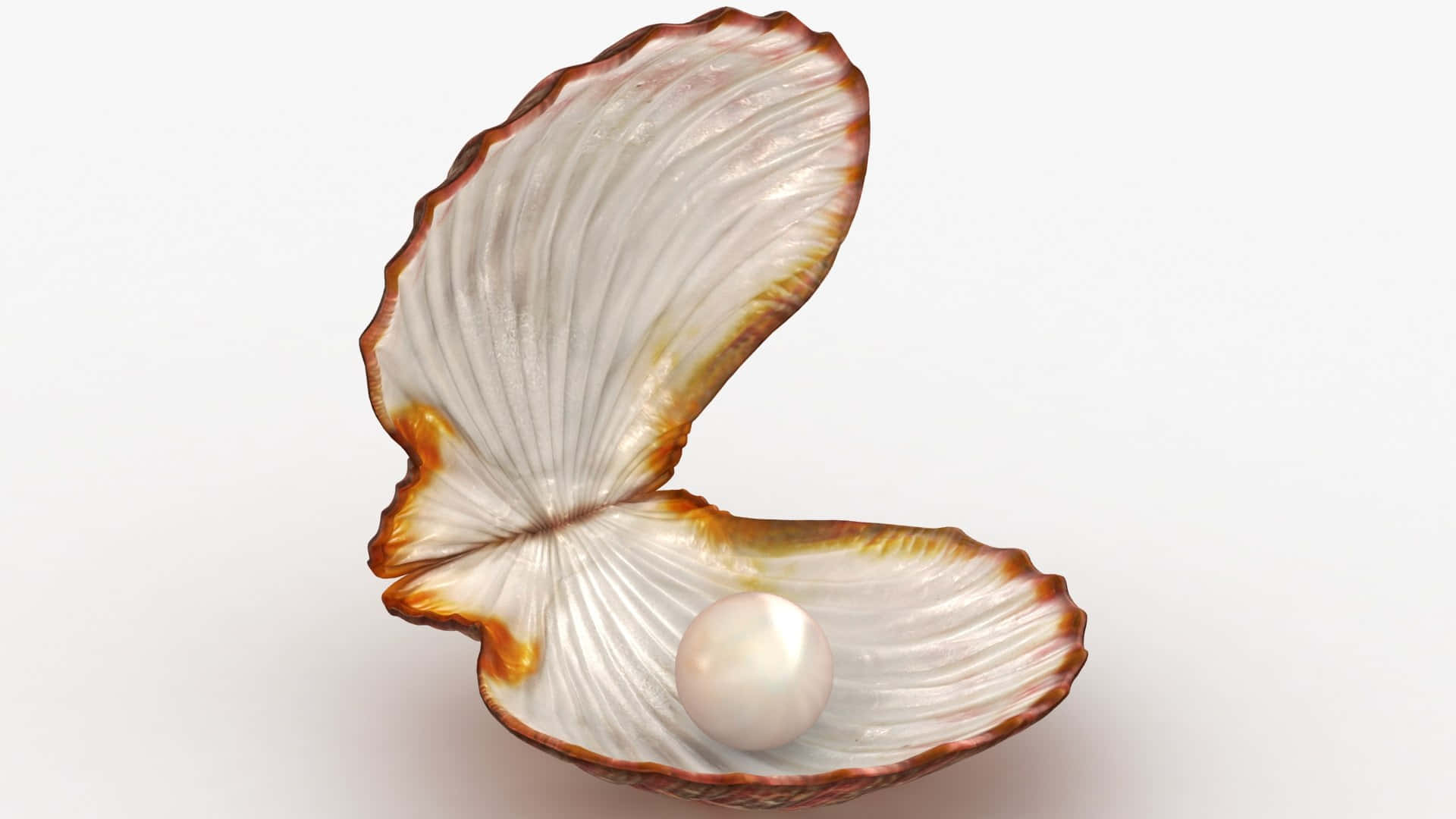 A Shiny Blue Clam Shell Glistening In The Sunlight Wallpaper