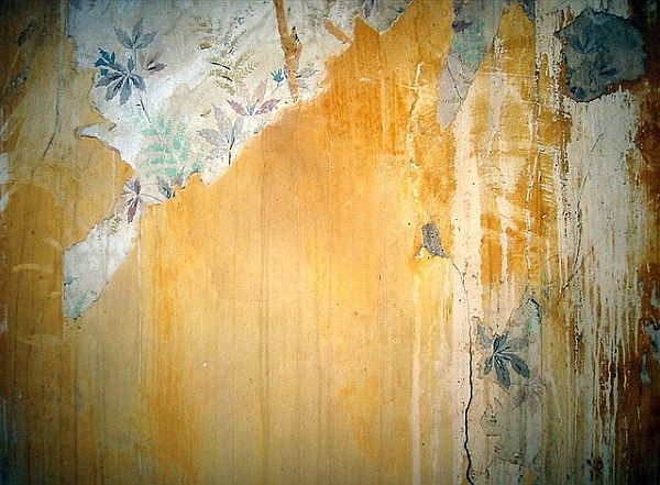 Free download Primer Paint For Walls Best Home Kitchen [640x360] for ...