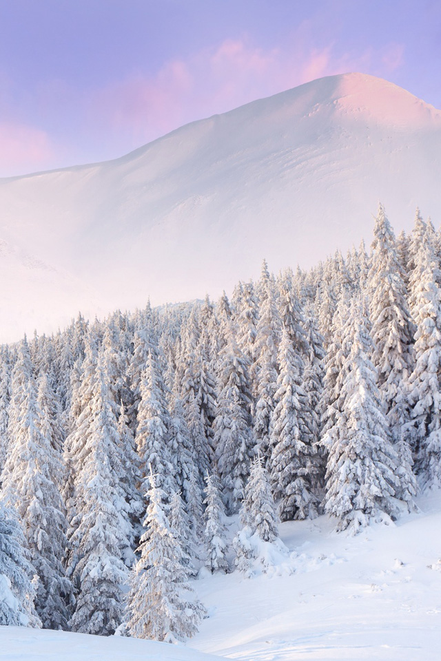 Snow 4K wallpapers for your desktop or mobile screen free and easy to  download