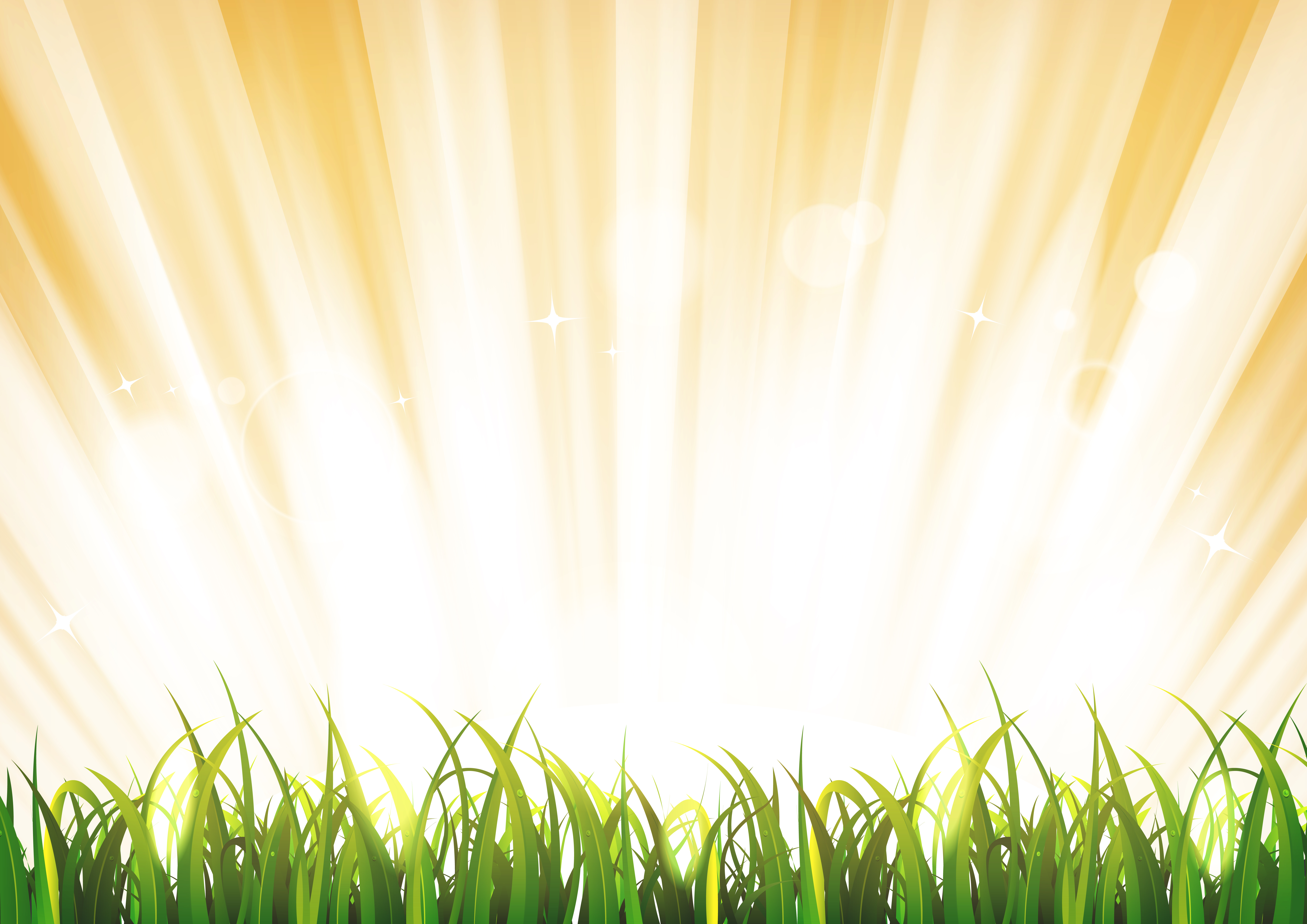 Summer Sunshine Background With Grass Leaves