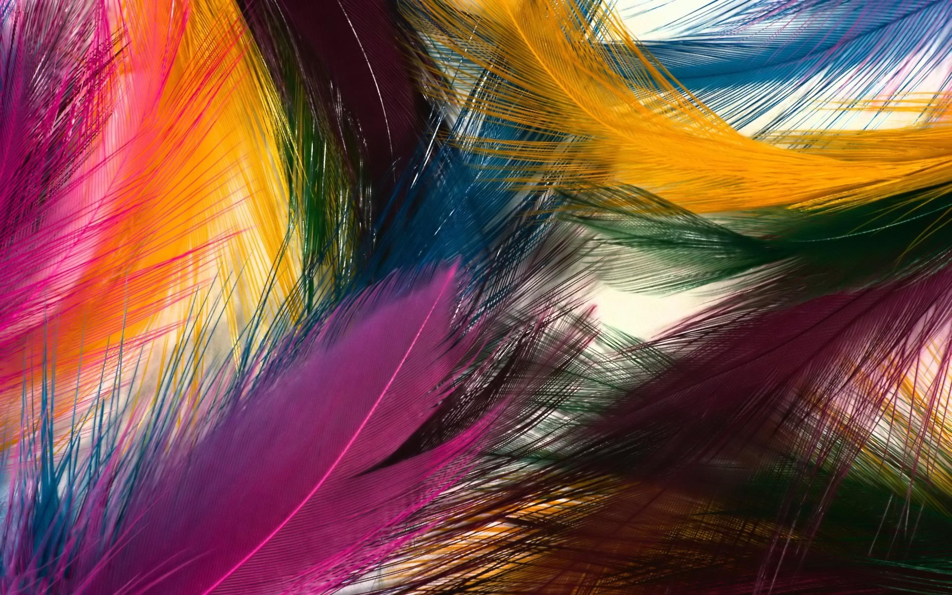 Feather Desktop Wallpaper Baltana
