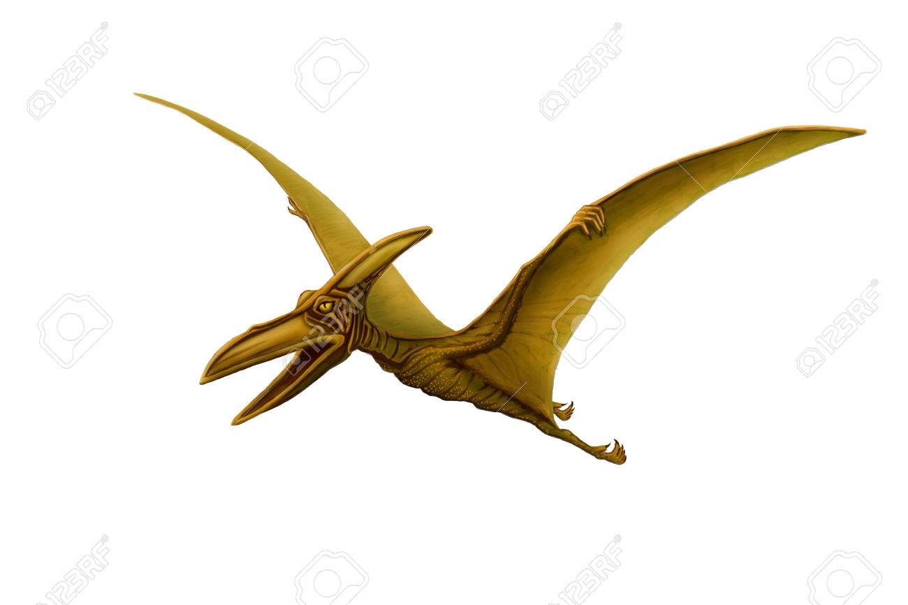Green Pterodactyl Spread Its Wings On A White Background Stock
