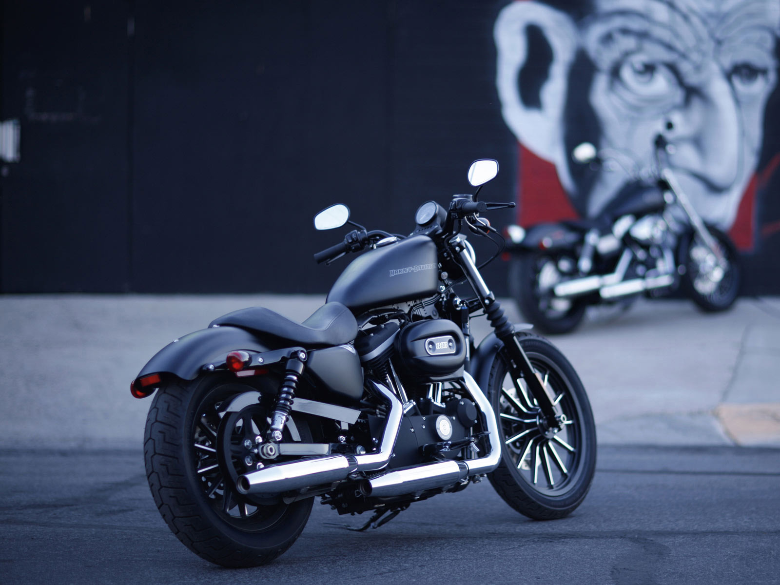 Black Harley-Davidson Iron 883 Motorcycle Parked in Front of Graffiti Art