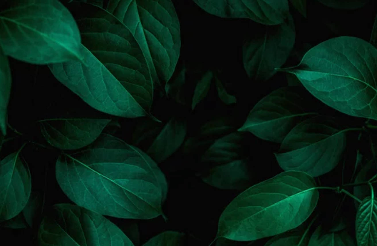 Dark Color Wallpaper