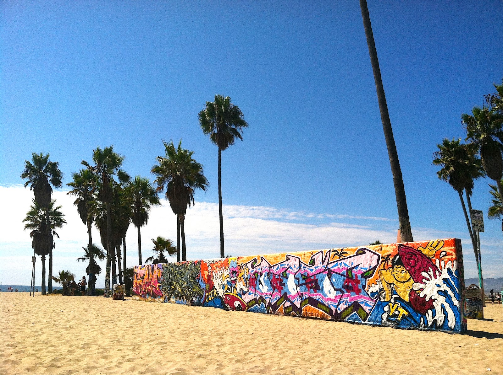 Venice Beach Doin Cali Right