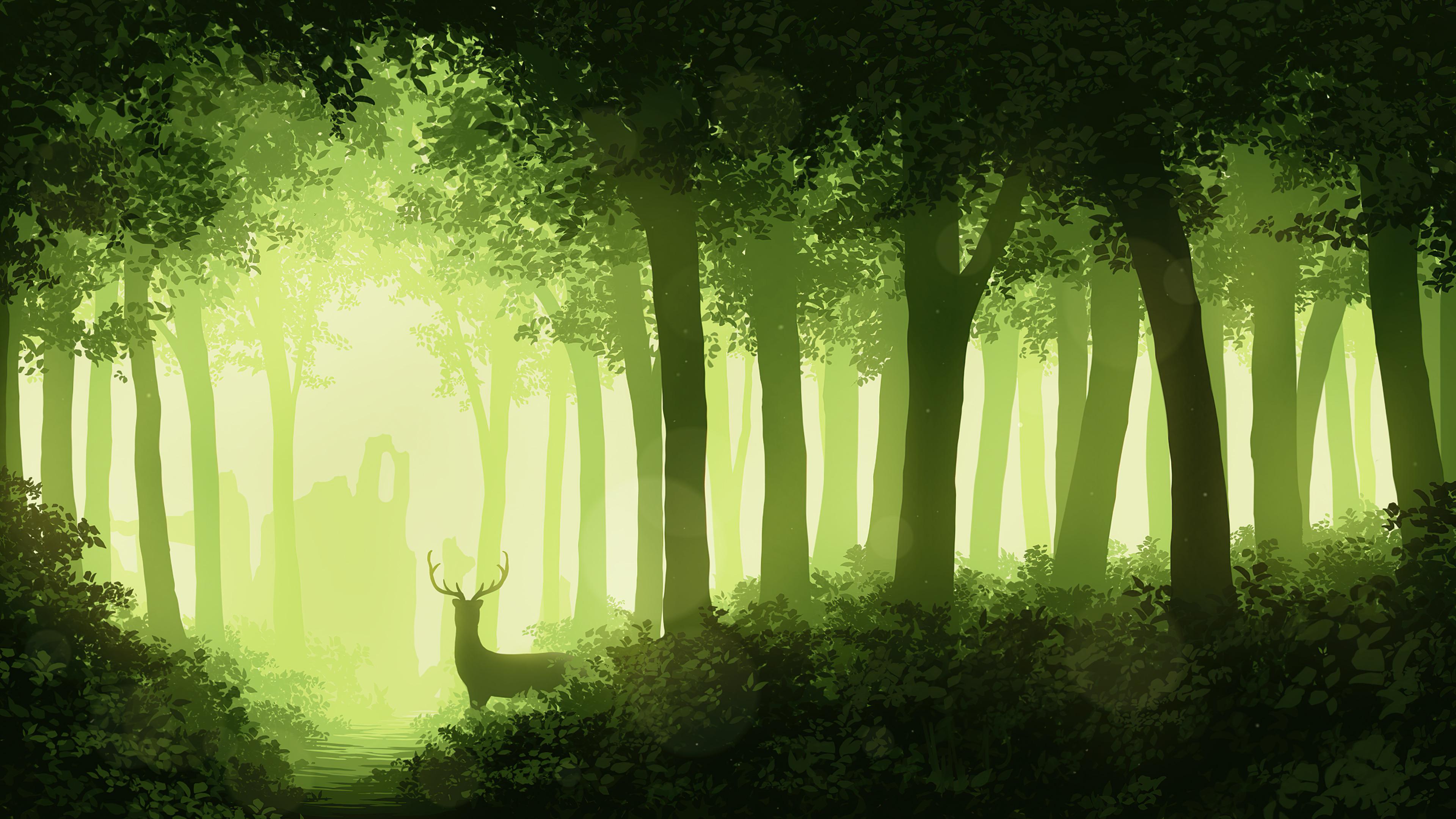 Deer Forest 4k HD Artist Wallpaper Image Background