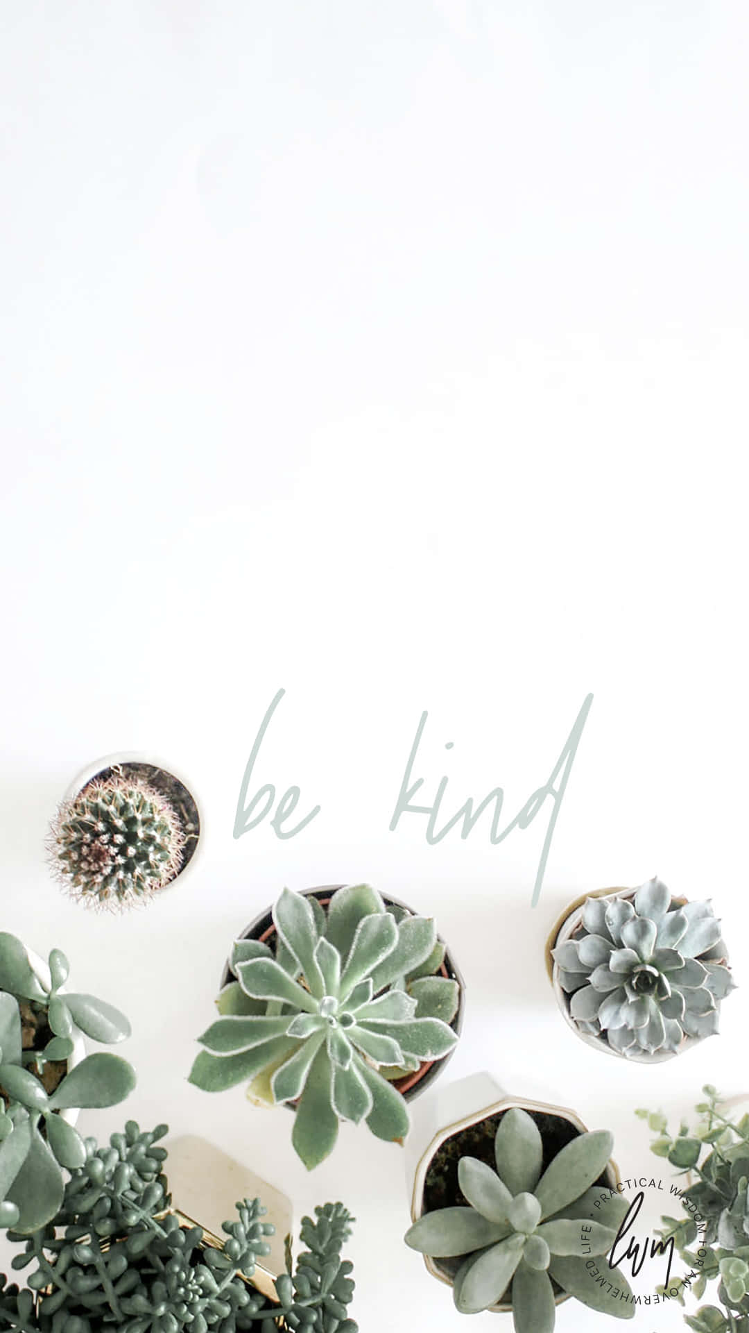 Succulent iPhone Be Kind Wallpaper