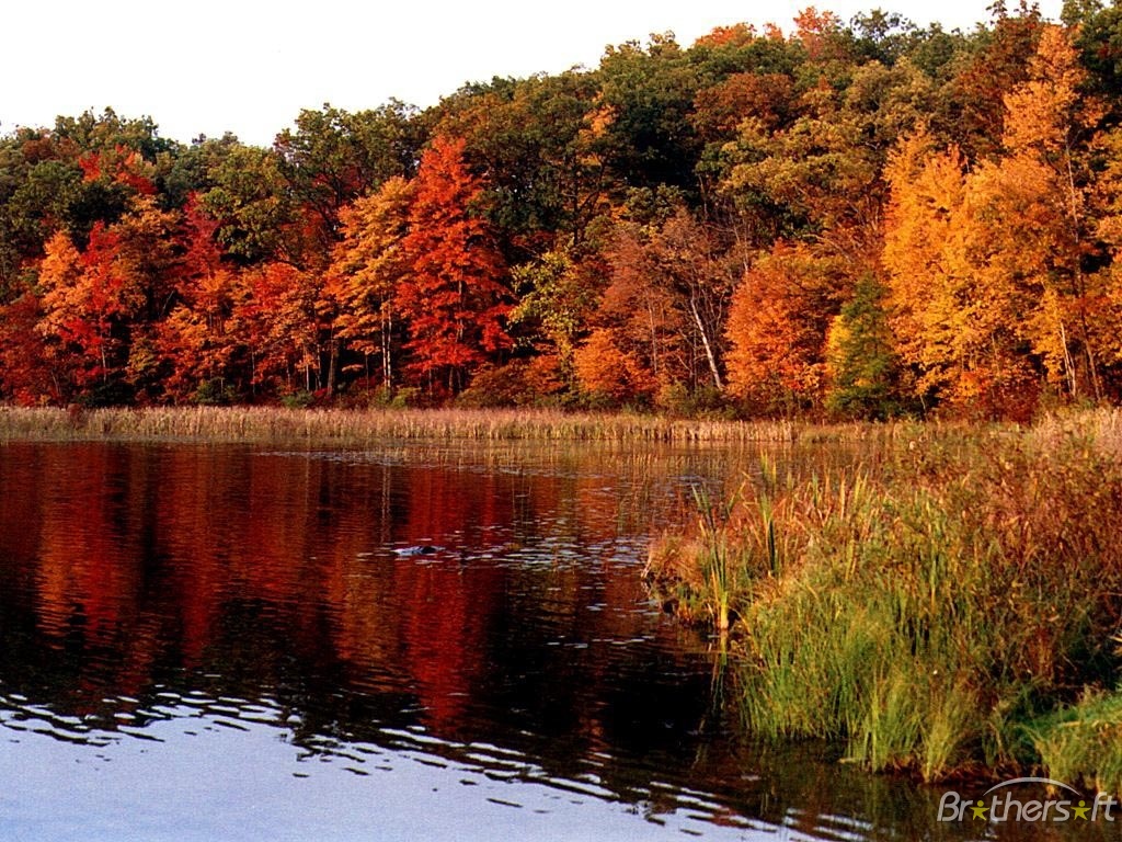 Fall Wallpaper For My Desktop In HD