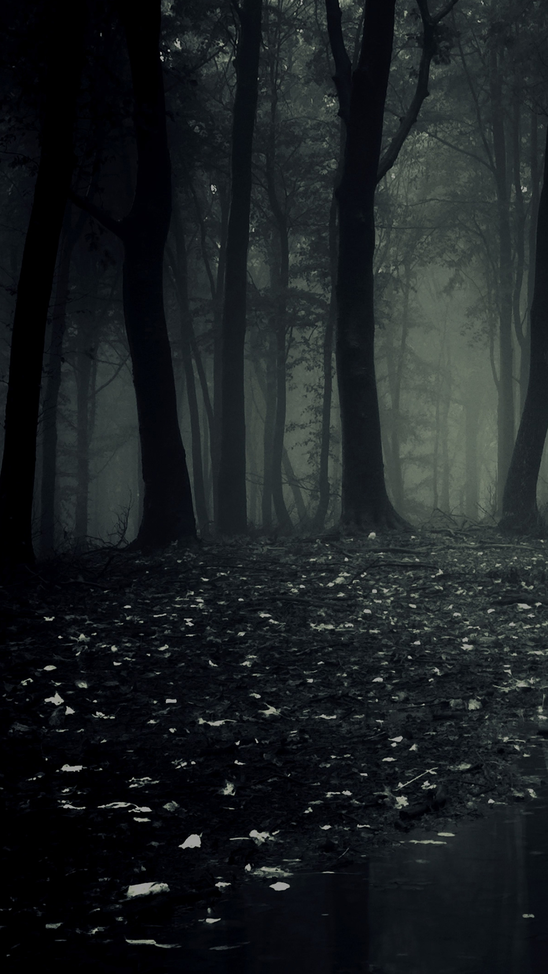 Forest Fog Darkness 4K Phone Wallpaper