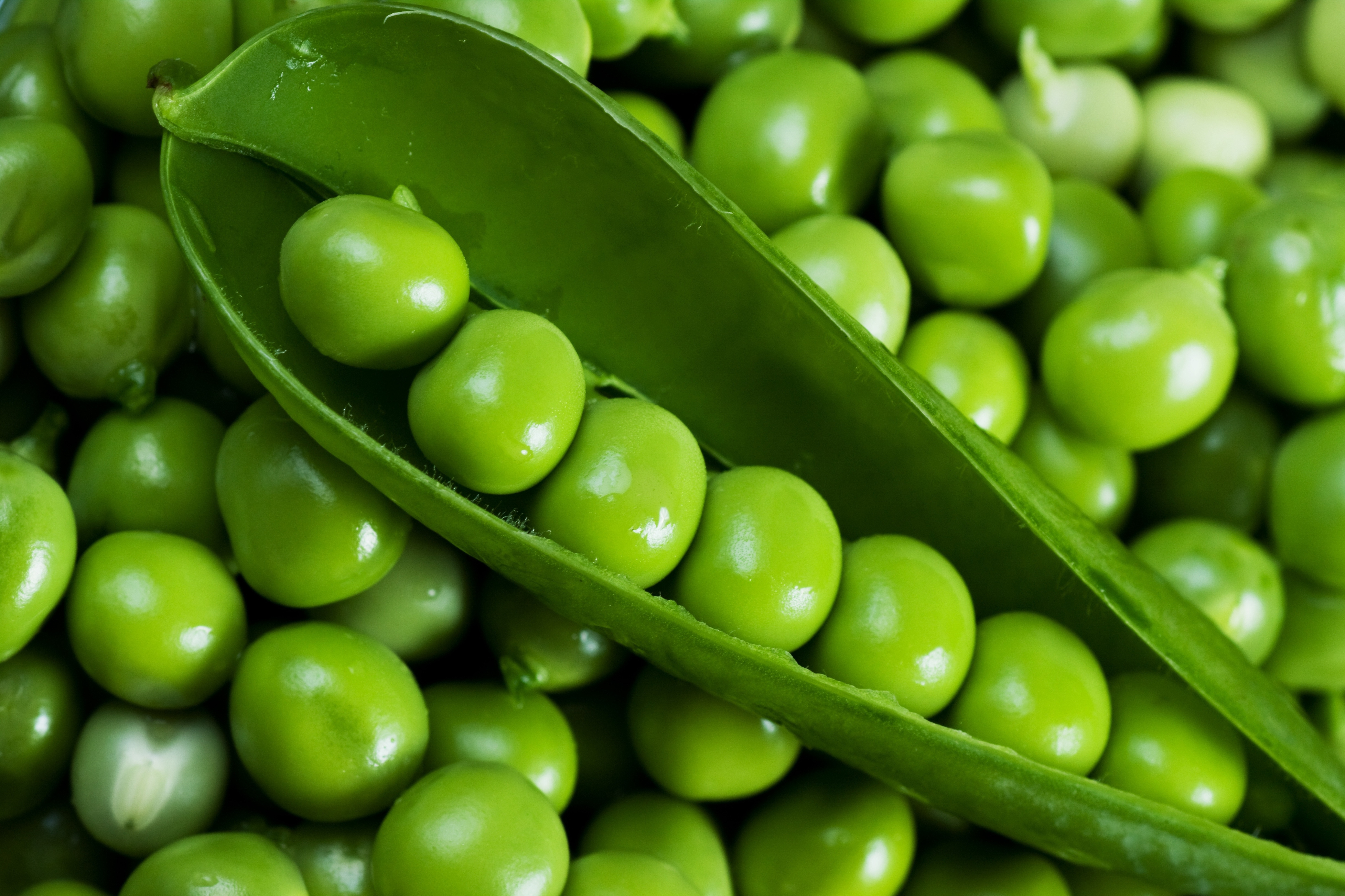 Pea 5k Retina Ultra HD Wallpaper Background Image