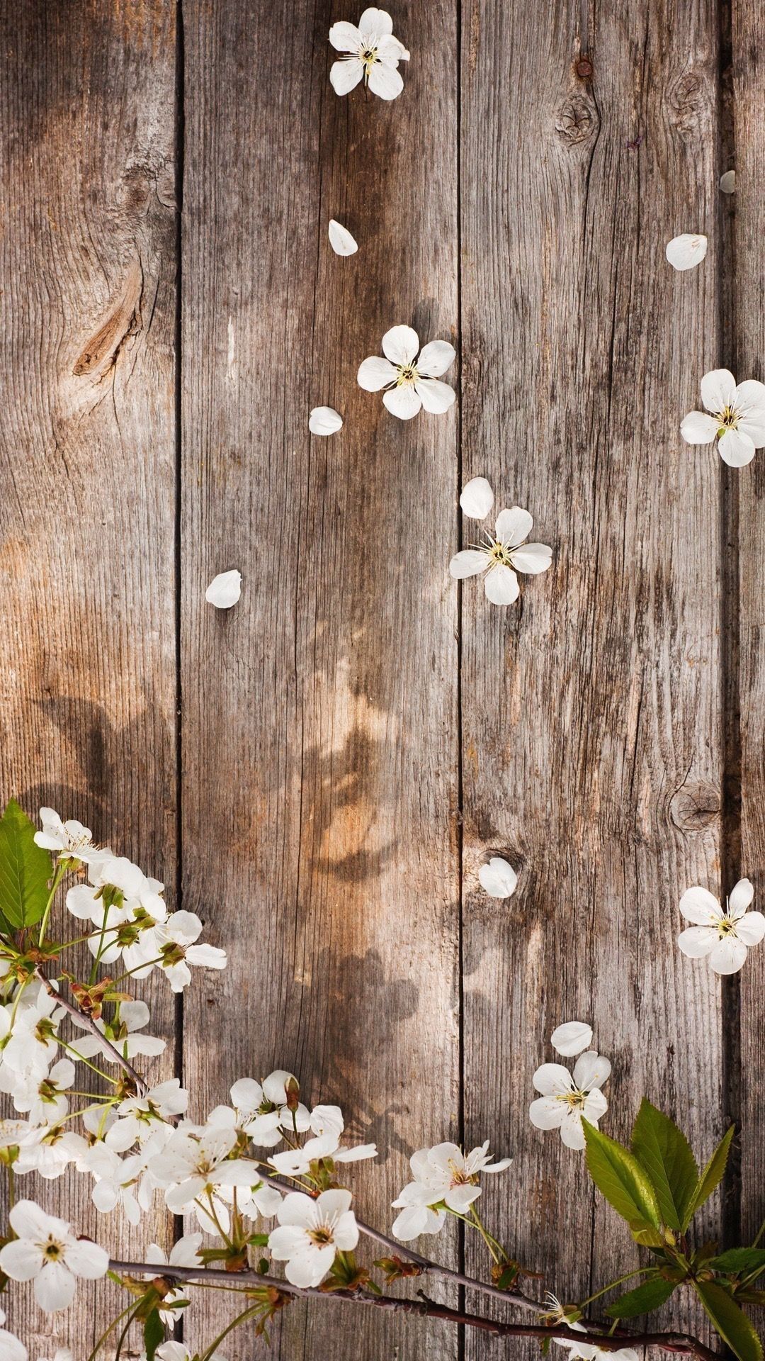 Rustic spring HD wallpapers  Pxfuel