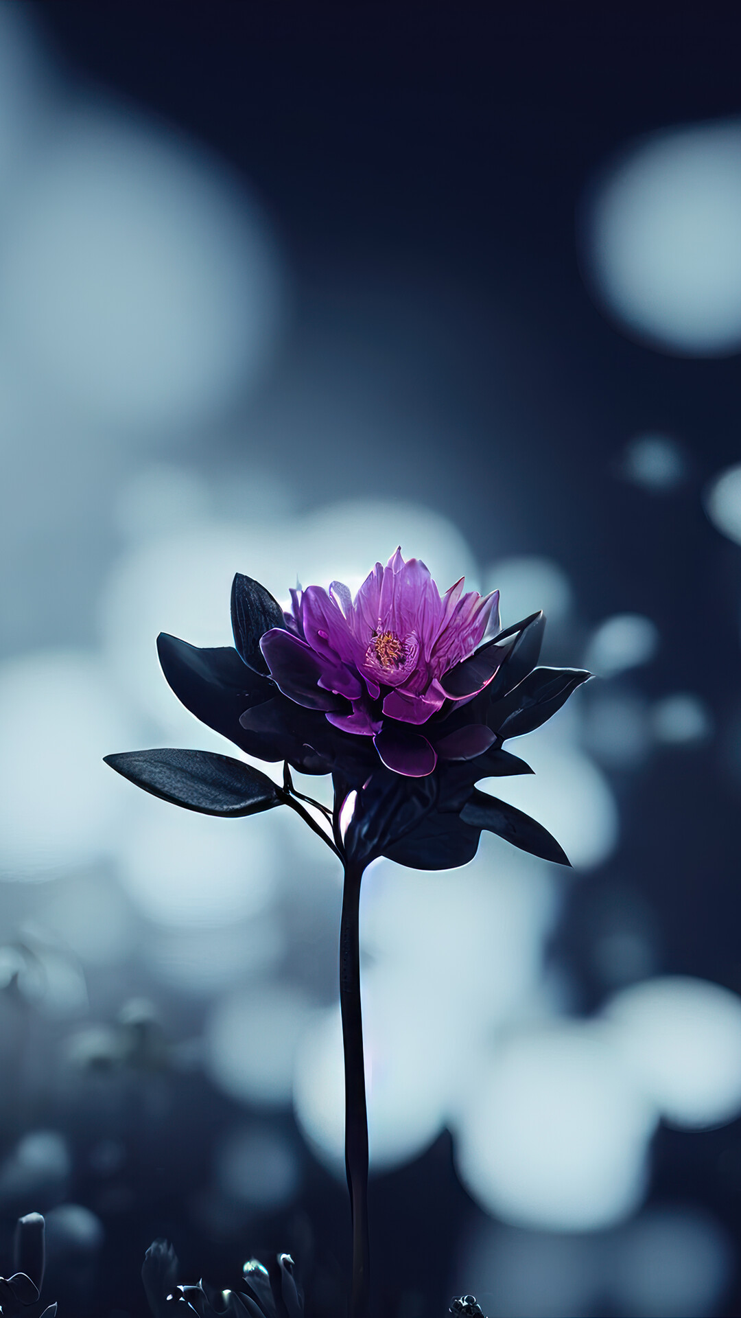Cool HD Wallpaper Flowers