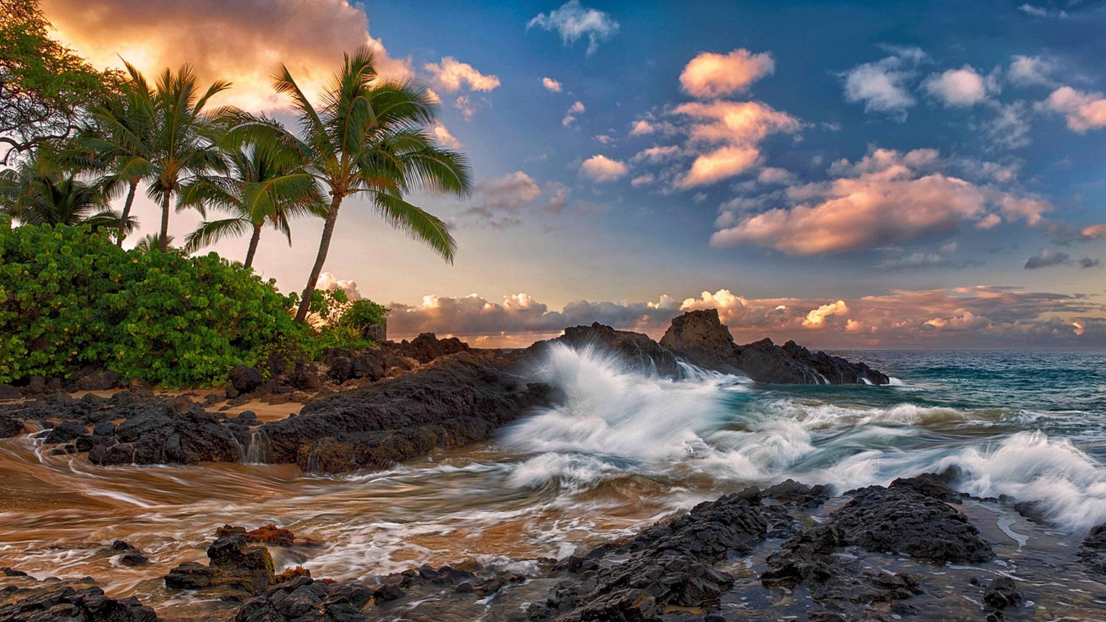 Palm Trees Clouds Tropical Coast Wallpaper