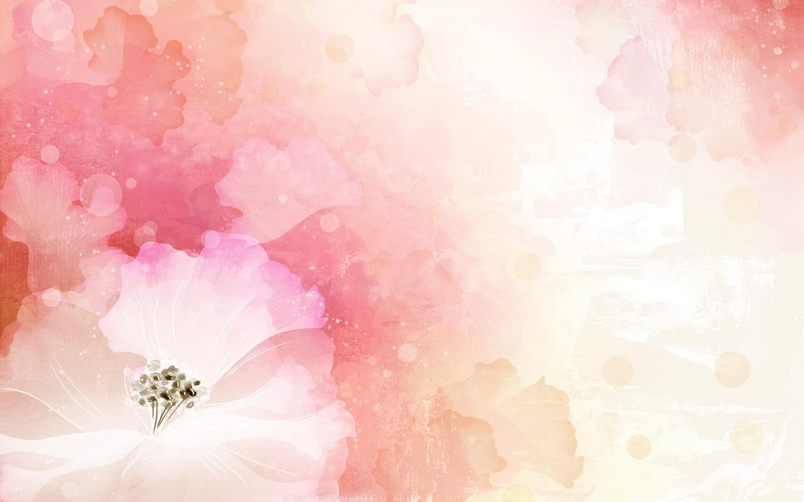 Lucretia S Wedding Flowers HD Background