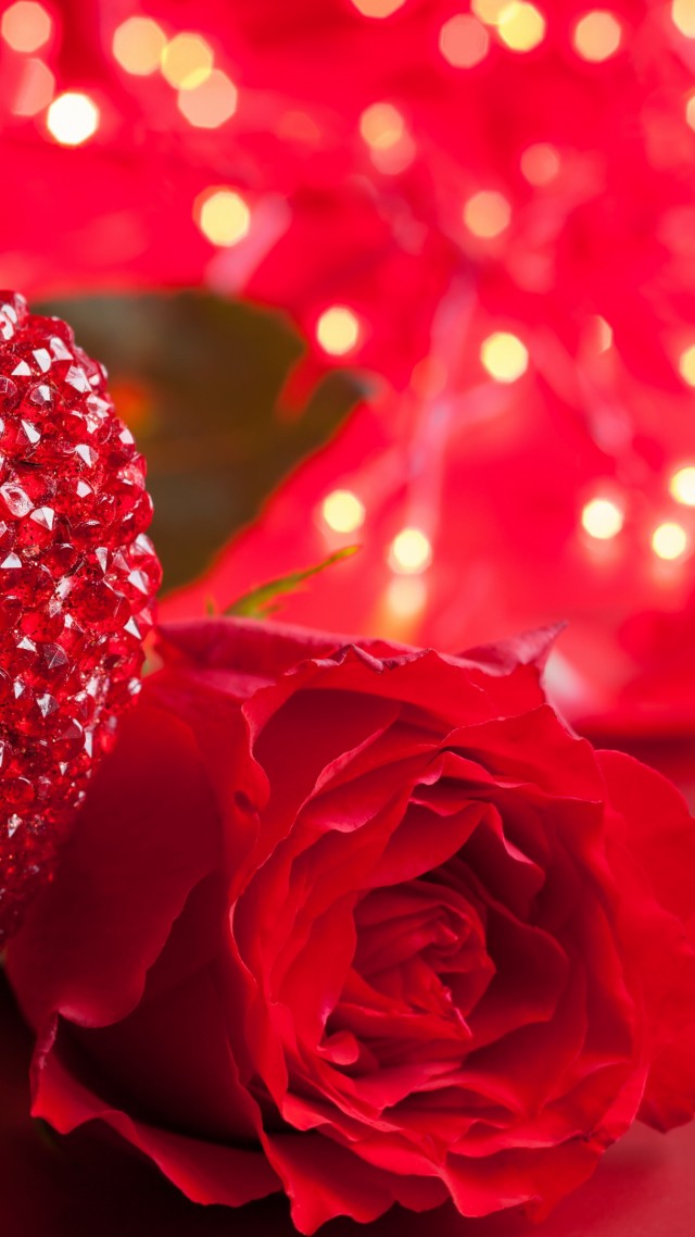 Wallpaper Rose 5k 4k Heart Valentine S Day Love