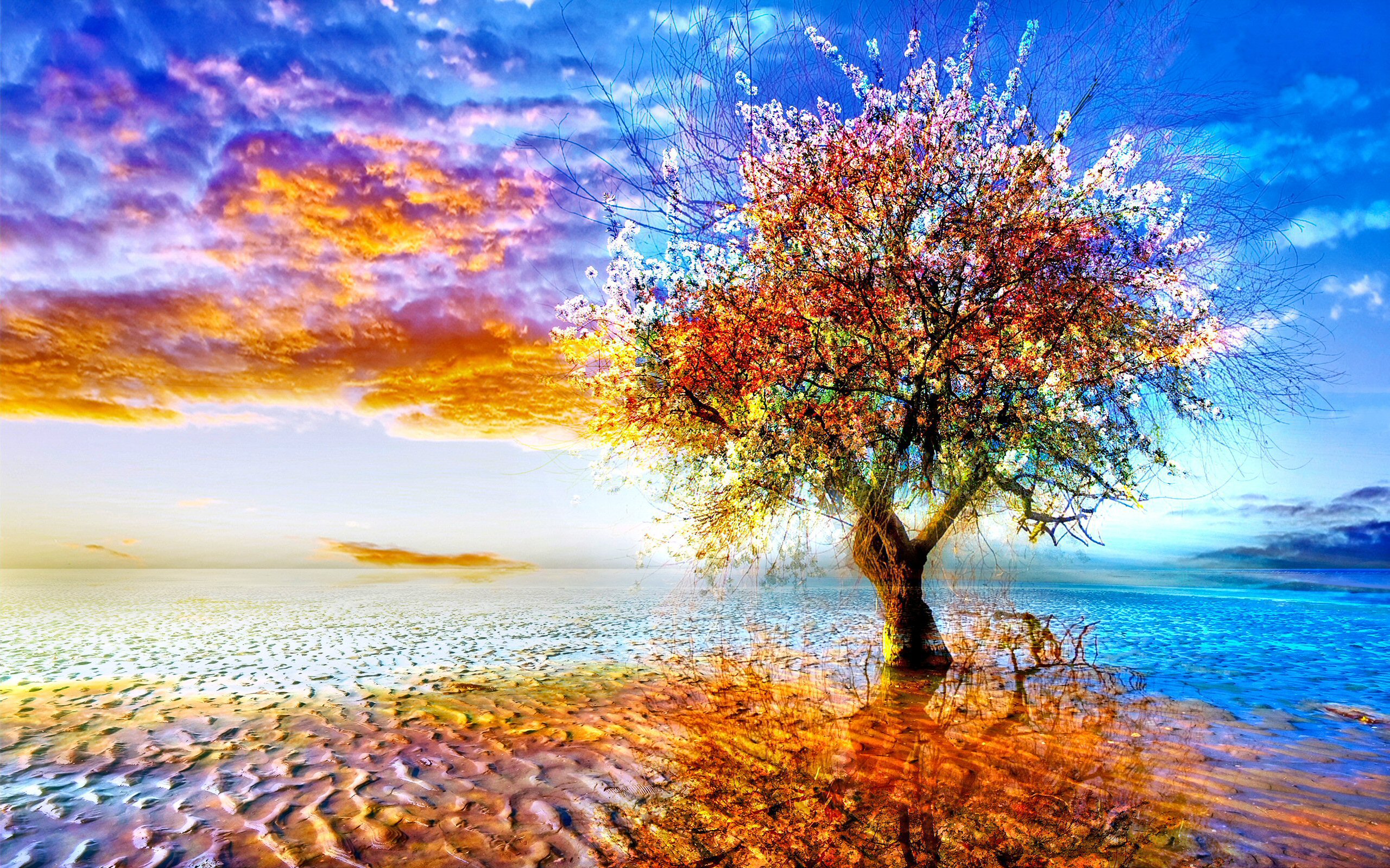Earth Tree Artistic Colorful Blossom Lonely Wallpaper