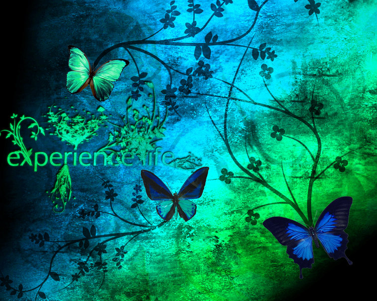 Mariposas Verdes Azules Fondo De Pantalla