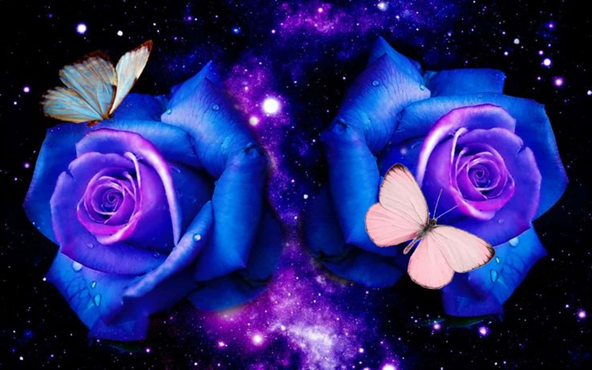 Dark Blue Rose Abstract Wallpaper