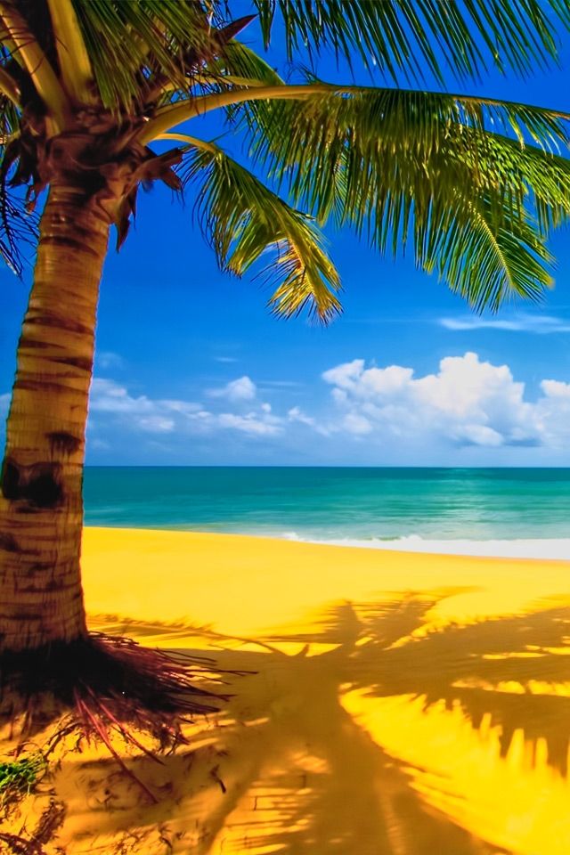 Oceanside Vacation Wallpaper Collection For Your iPhone The
