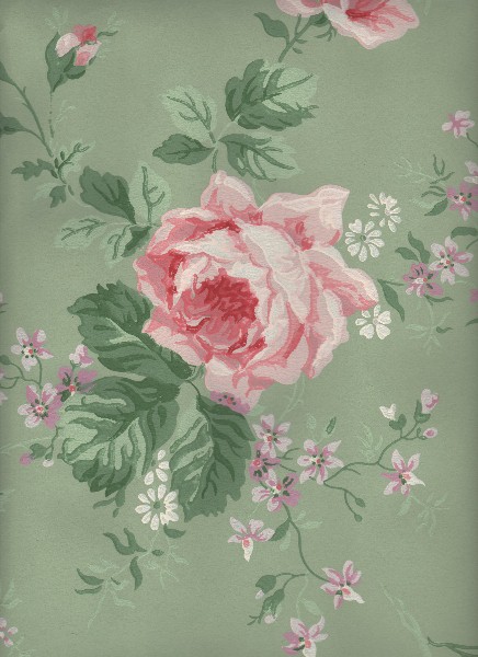  Wallpaper   Cabbage Roses Vintage Wallpapers Wallpapers and Cabbage