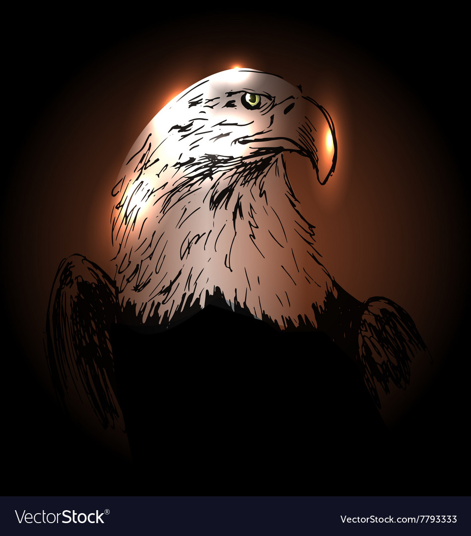 Background With Drawing Eagle Royalty Vector Image
