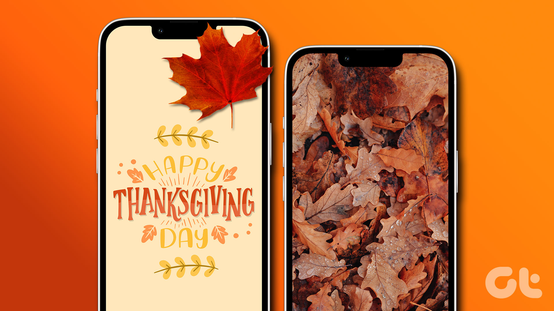 Cute Thanksgiving Wallpaper