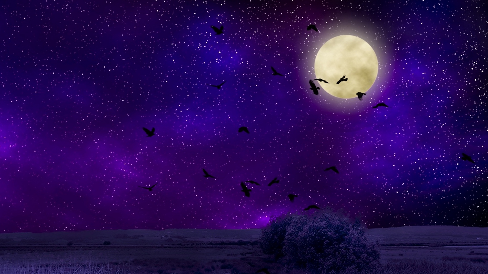 free-download-moon-birds-night-sky-artistic-hd-wallpaper-night-sky