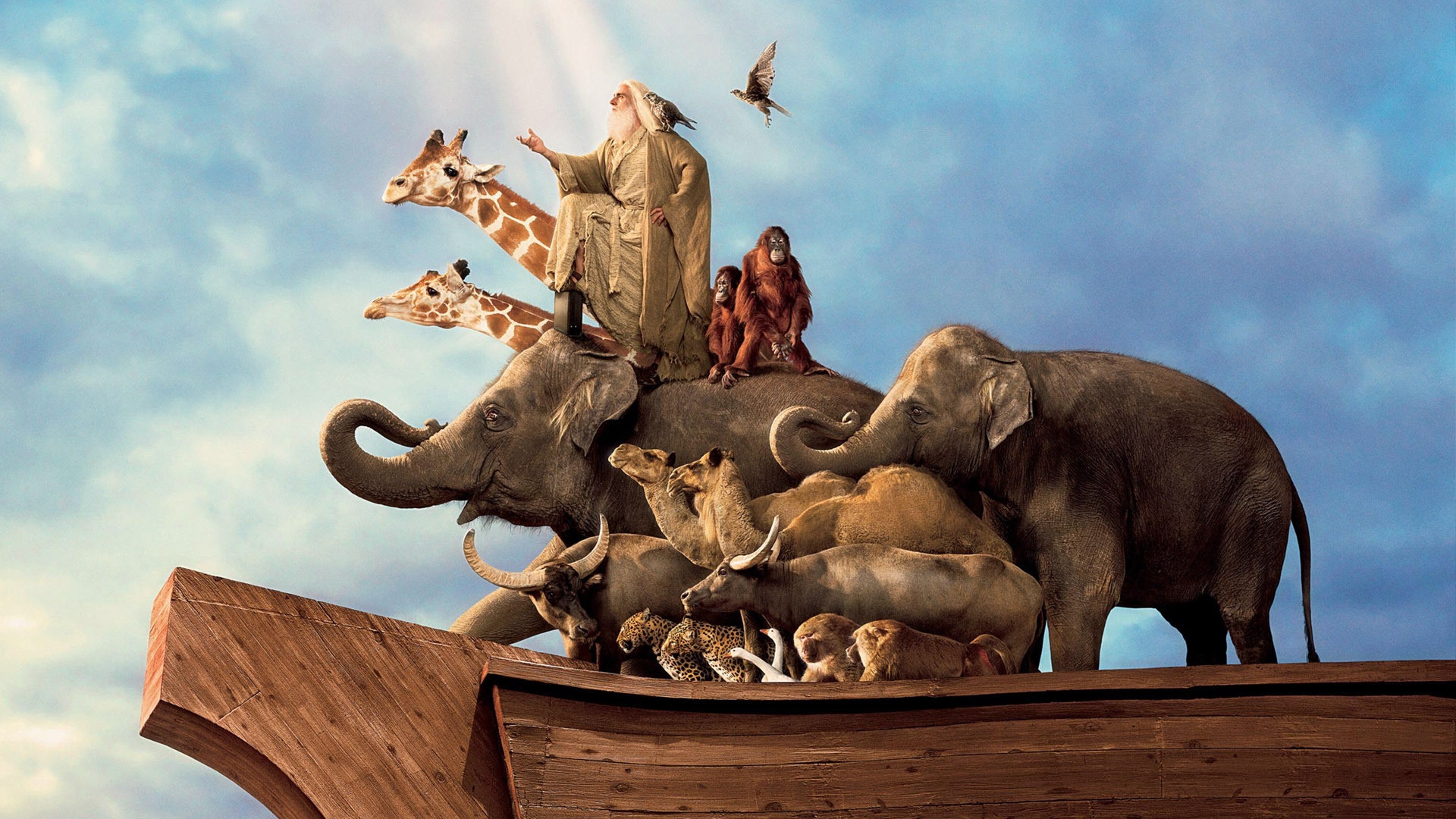 Wallpaper Evan Almighty Noah Savior Man Animals Ark