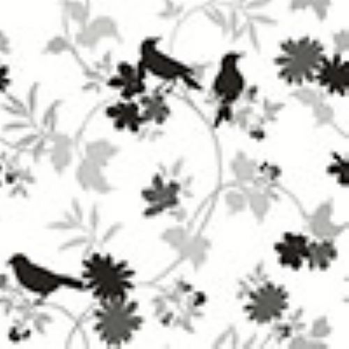 black and white bird WallpaperNowDesigner wallpaper