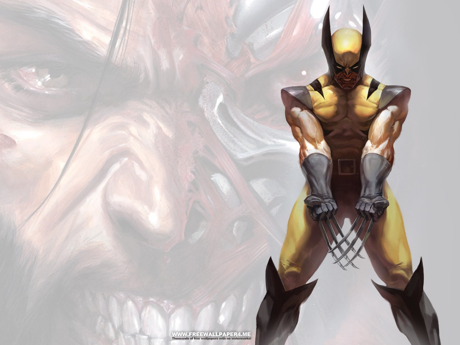 Ing Ics Wolverine Marvel HD Wallpaper Color Palette Tags
